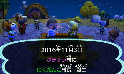 とびだせどうぶつの森 プレイ日記６６回目 どっかの日記帳